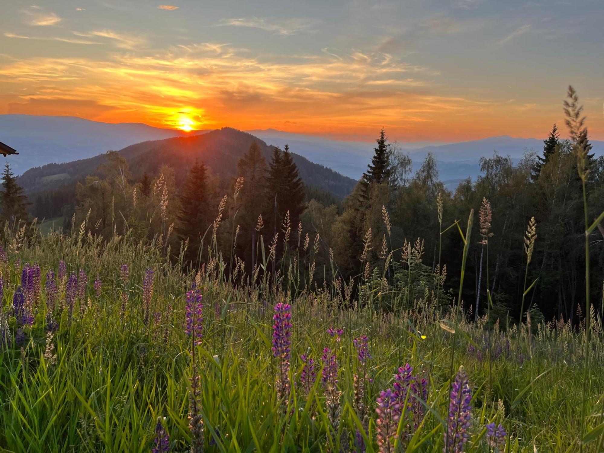 Feriendorf Koralpe Alpenrose Villa Frantschach Eksteriør bilde